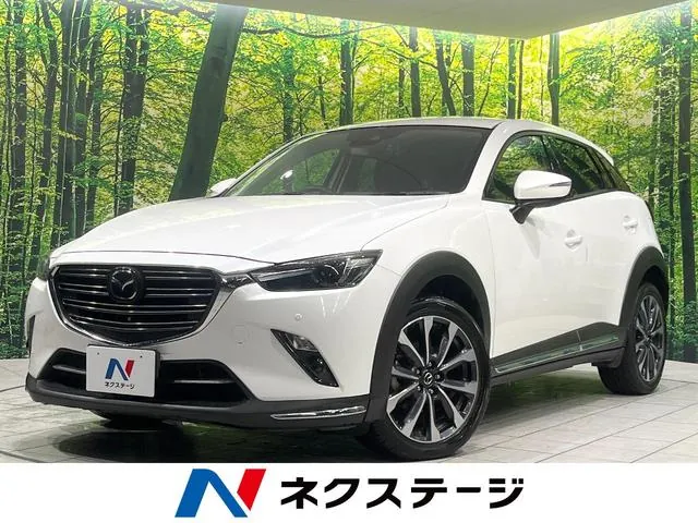 Mitsubishi Cx-3