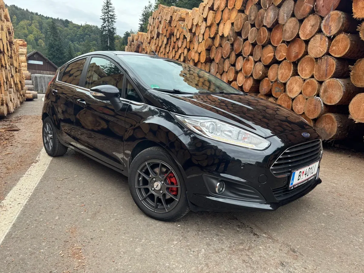 Ford Fiesta 2015 photo 2