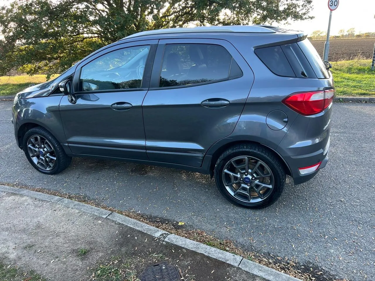 Ford Ecosport 2015 photo 3