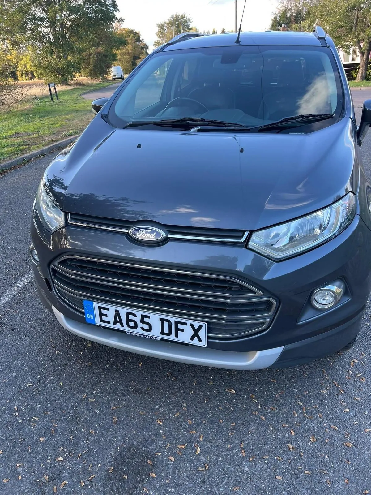 Ford Ecosport 2015 photo 4