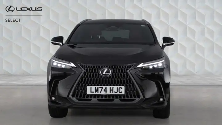 Lexus Nx 2024 photo 2