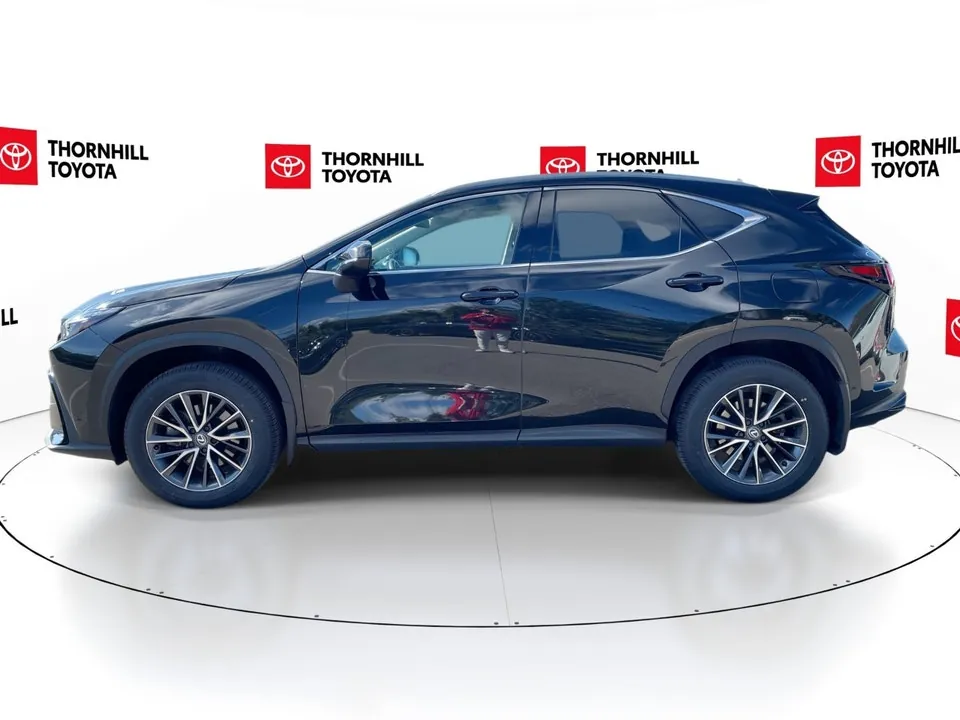 Lexus Nx 2025 photo 5