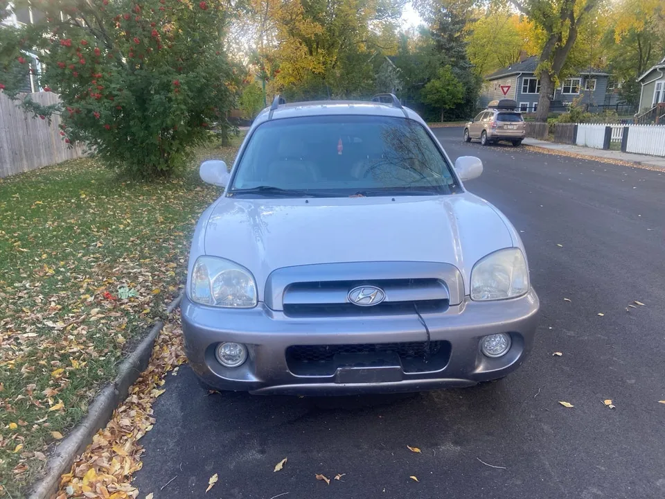 Hyundai Santa Fe 2006 photo 3