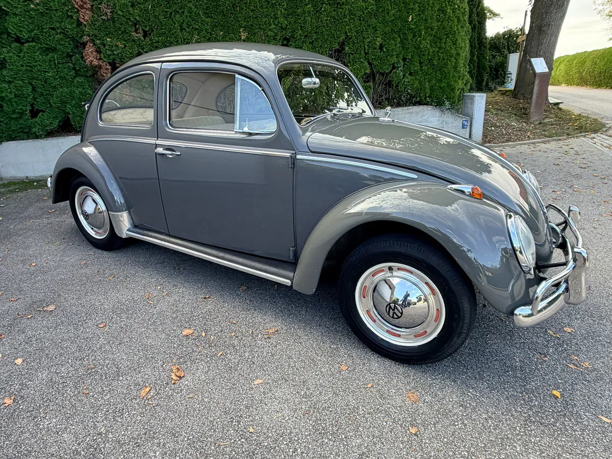 Volkswagen Käfer 1962 photo 2