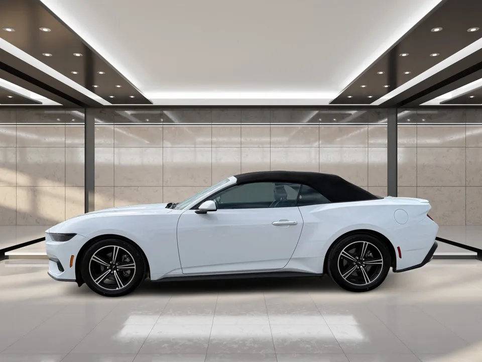 Ford Mustang 2025 photo 4