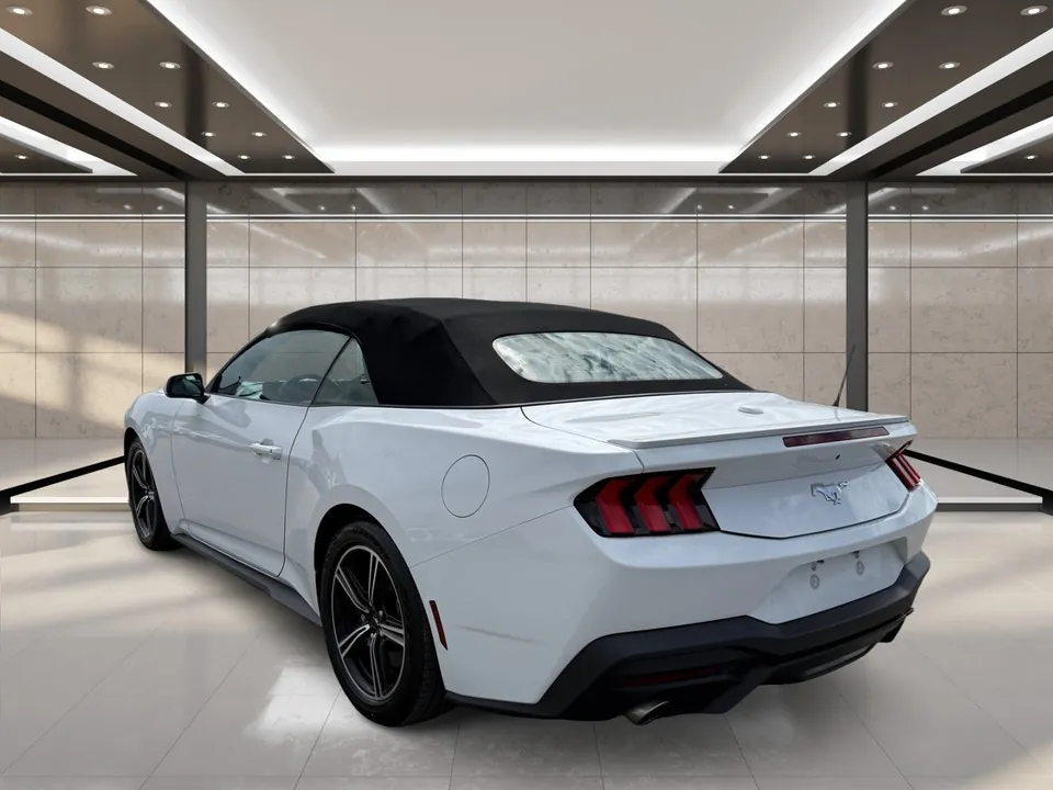 Ford Mustang 2025 photo 5