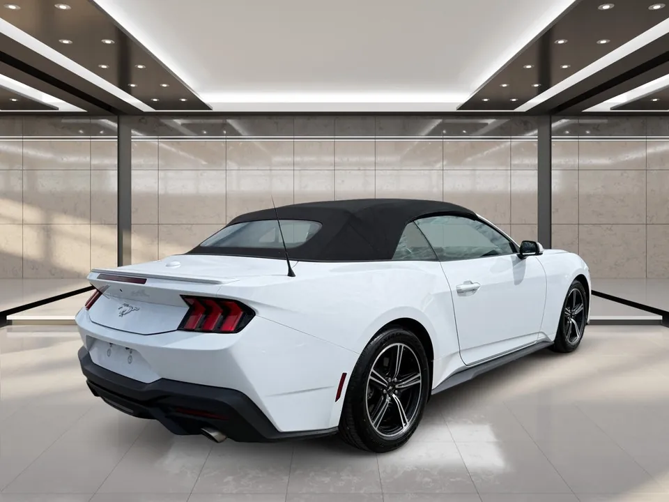 Ford Mustang 2025 photo 3