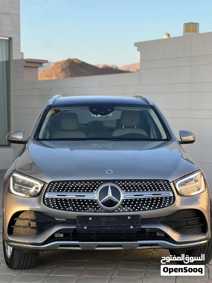 Mercedes-Benz Glc-Class 2020 photo 2