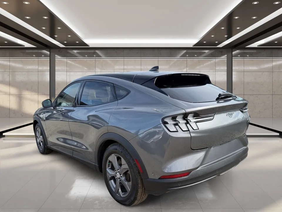 Ford Mustang Mach-E 2023 photo 3