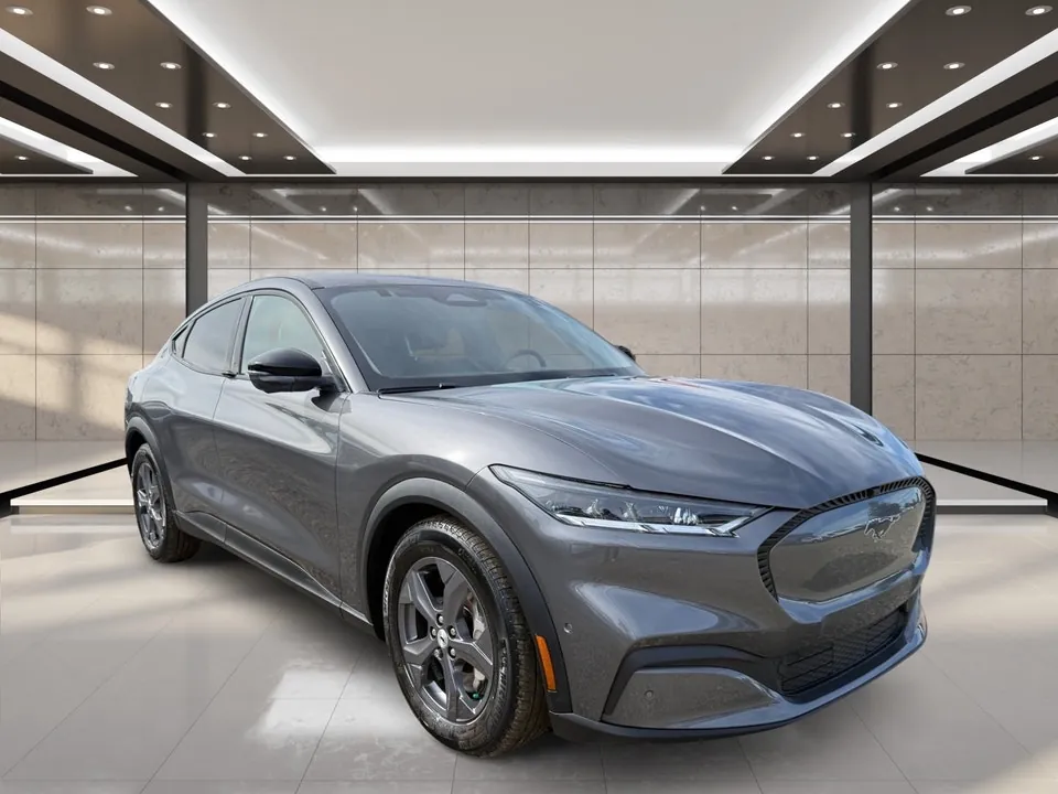 Ford Mustang Mach-E 2023 photo 2