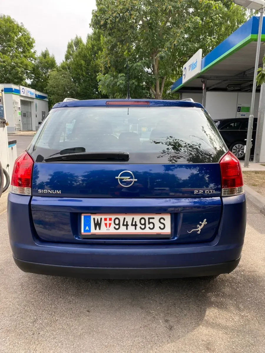 Opel Signum 2003 photo 3