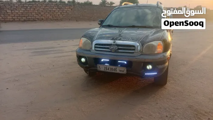 Hyundai Santa Fe 2005 photo 4