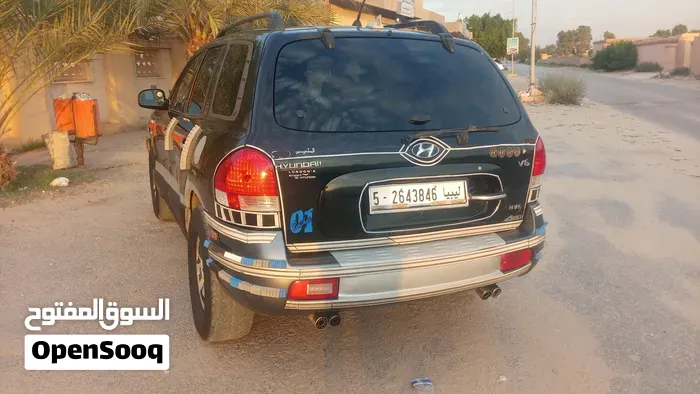 Hyundai Santa Fe 2005 photo 3