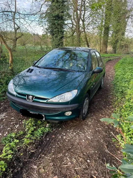 Peugeot 206
