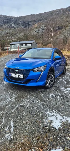 Peugeot 208 2021 photo 2