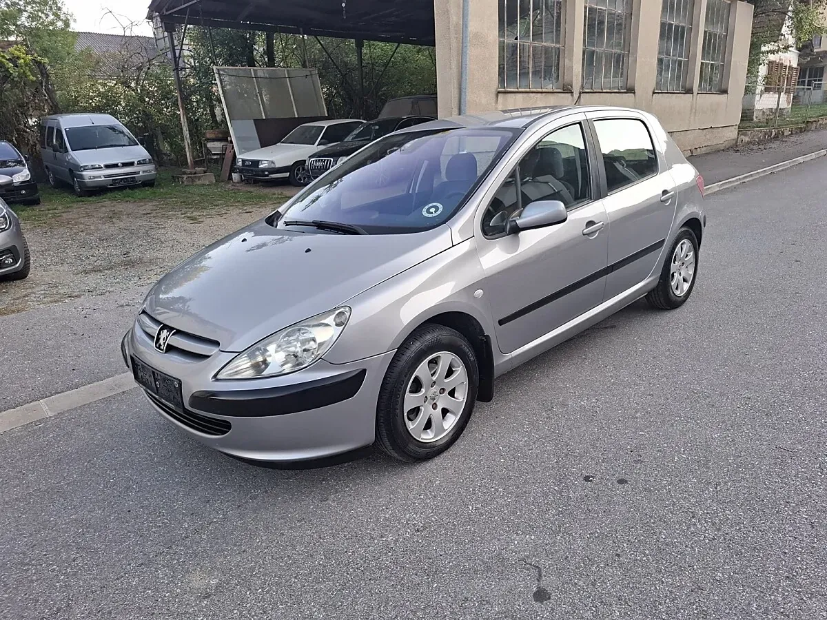 Peugeot 307 2005 photo 2