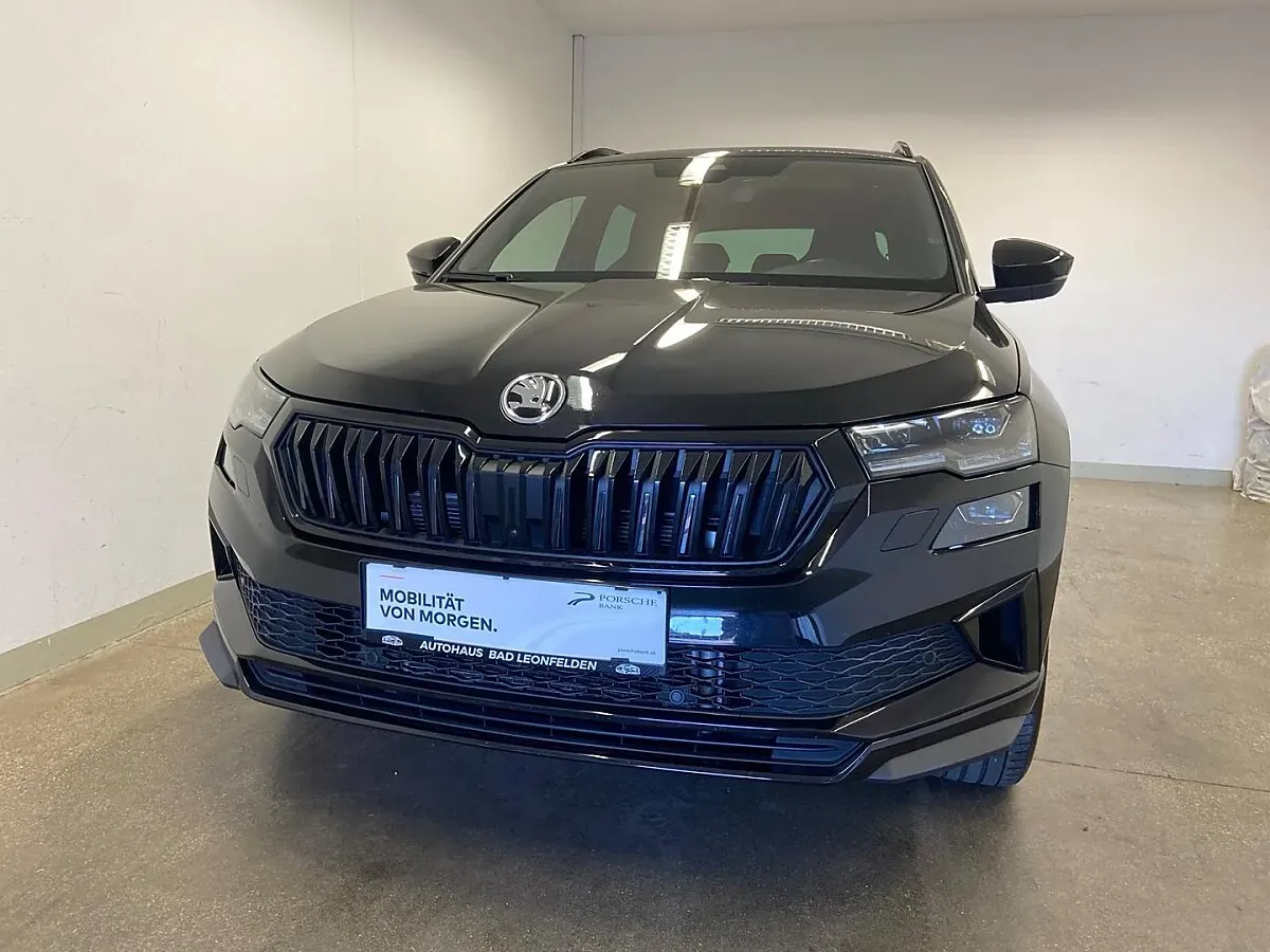 Skoda Karoq 2022 photo 2