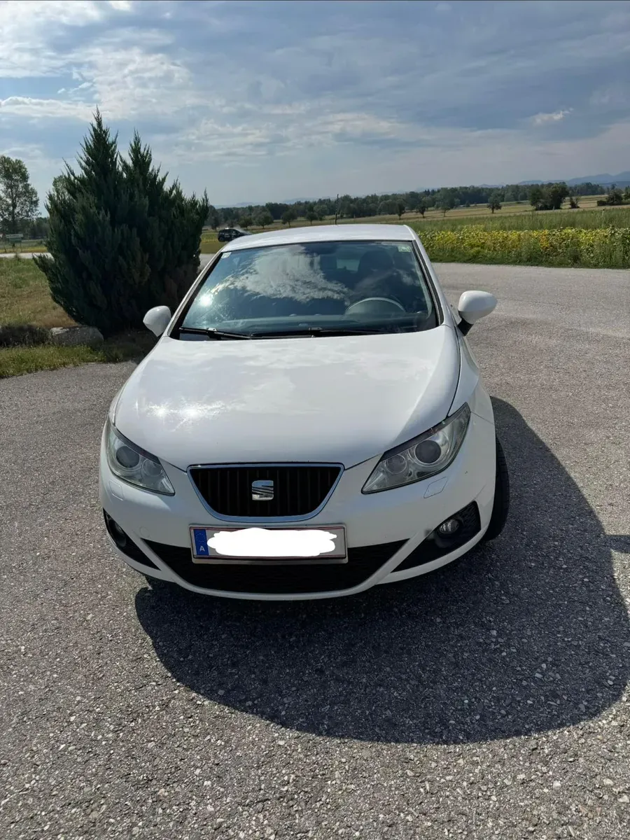 Seat Ibiza 2009 photo 2