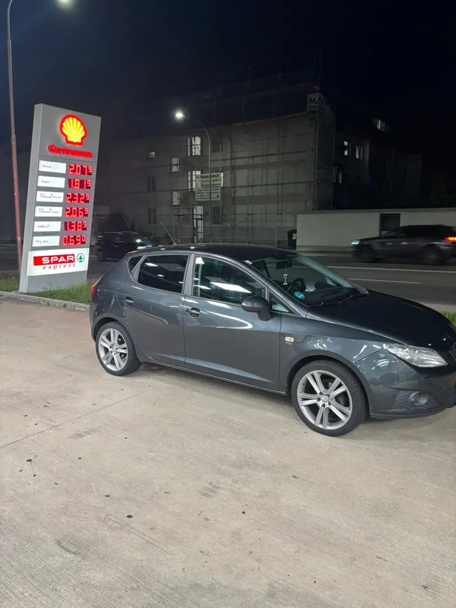 Seat Ibiza 2010 photo 2