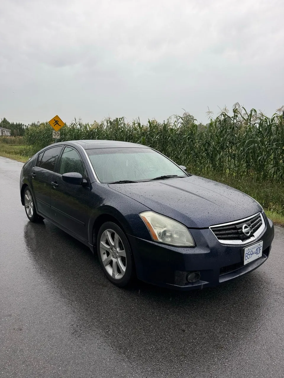 Nissan Maxima 2008 photo 3