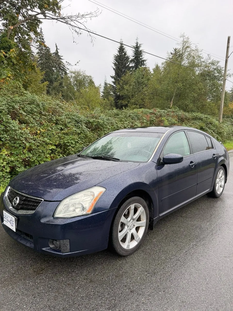 Nissan Maxima 2008 photo 4