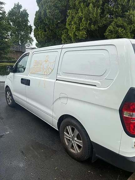 Hyundai H1 2010 photo 4
