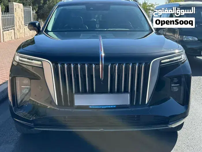Hongqi E-Hs9