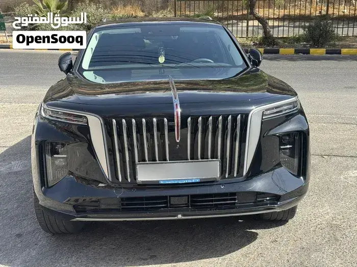 Hongqi E-Hs9 2021 photo 2