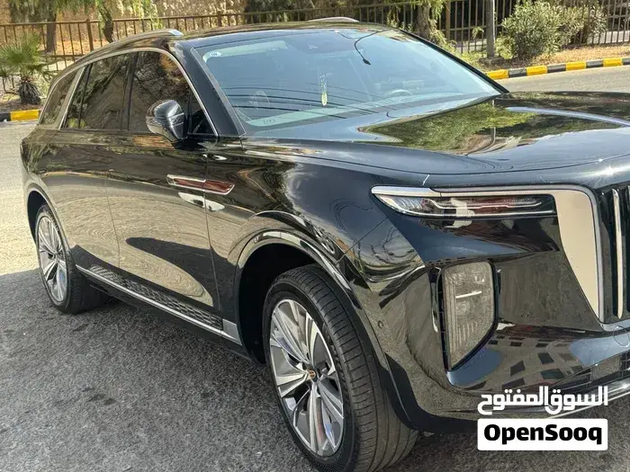 Hongqi E-Hs9 2021 photo 4
