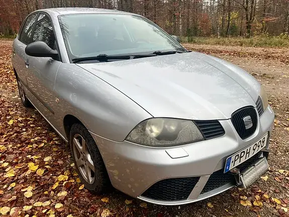 Seat Ibiza 2007 photo 5