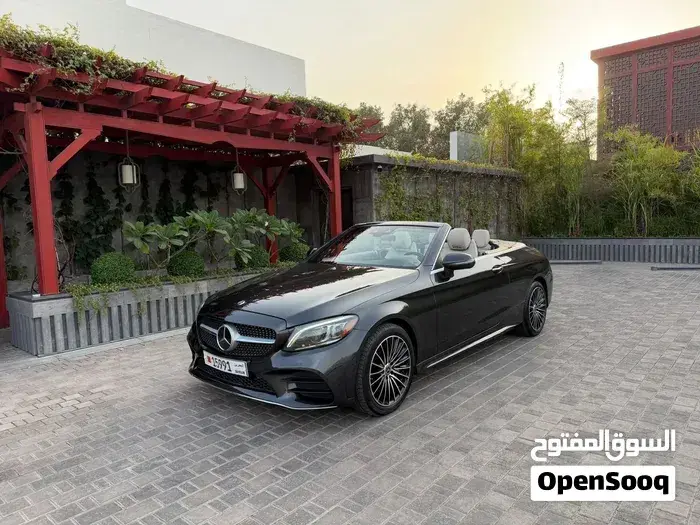 Mercedes-Benz C-Class 2019 photo 2
