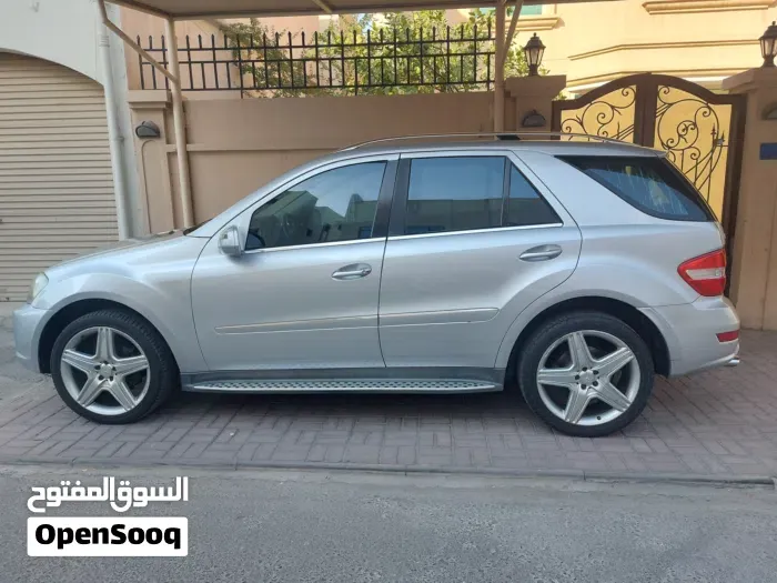 Mercedes-Benz M-Class 2010 photo 2