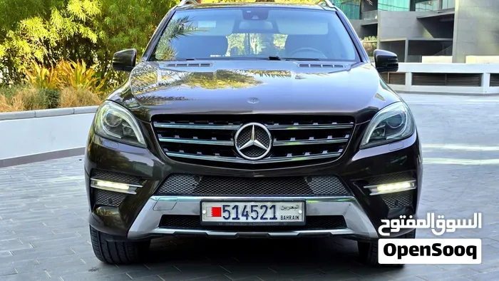 Mercedes-Benz M-Class 2010 photo 5