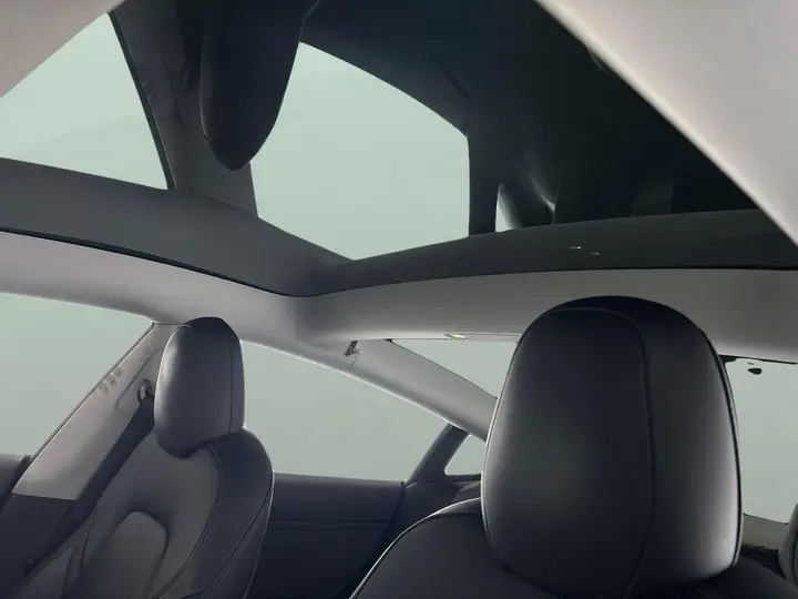 Tesla Model 3 2021 photo 5