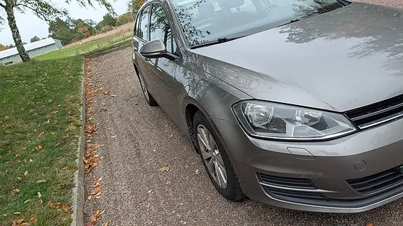 Volkswagen Golf Vii 2016 photo 4