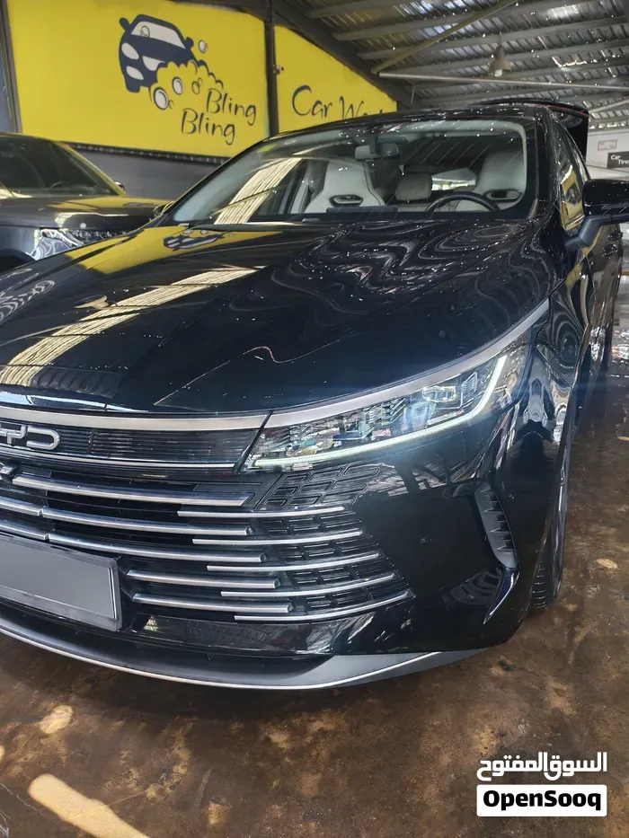 BYD Destroyer 5 2025 photo 5