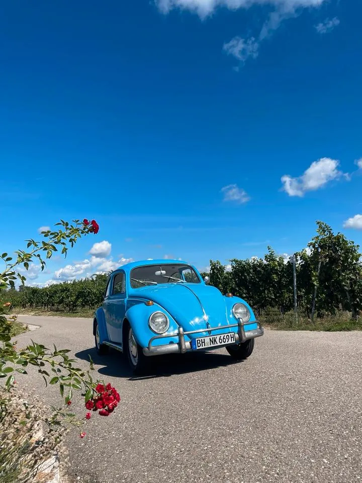 Volkswagen Käfer