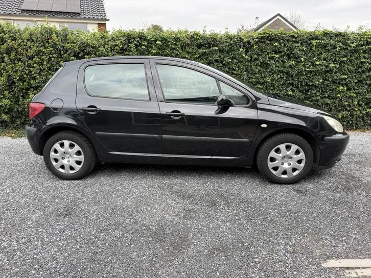Peugeot 307 2004 photo 2