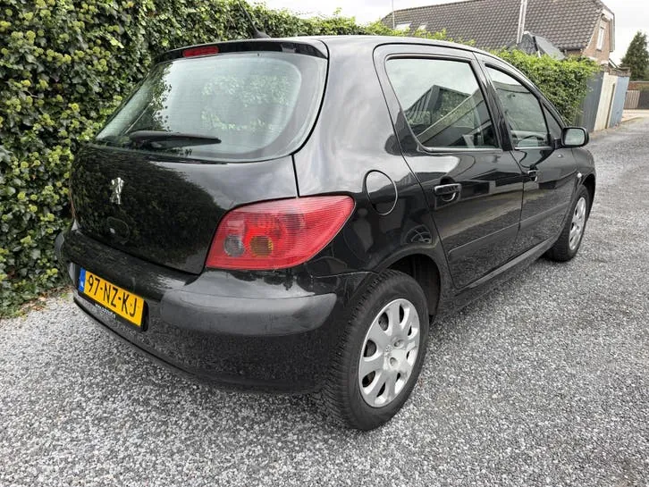 Peugeot 307 2004 photo 3