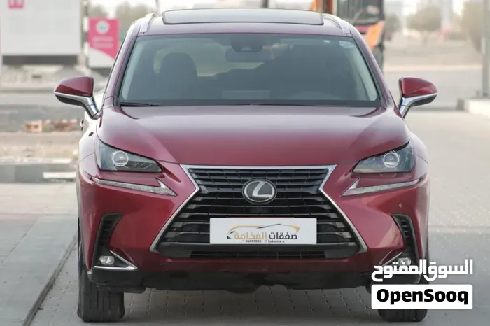 Lexus Nx 300 2020 photo 5