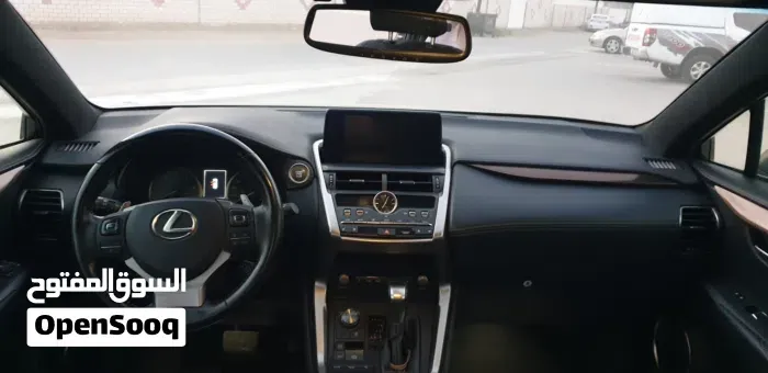 Lexus Nx 300 2020 photo 3