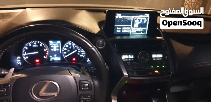 Lexus Nx 300 2020 photo 4
