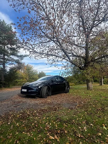 Tesla Model Y 2024 photo 4