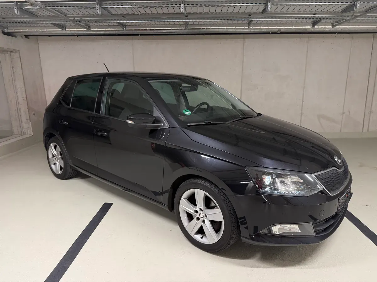 Skoda Fabia 2015 photo 3