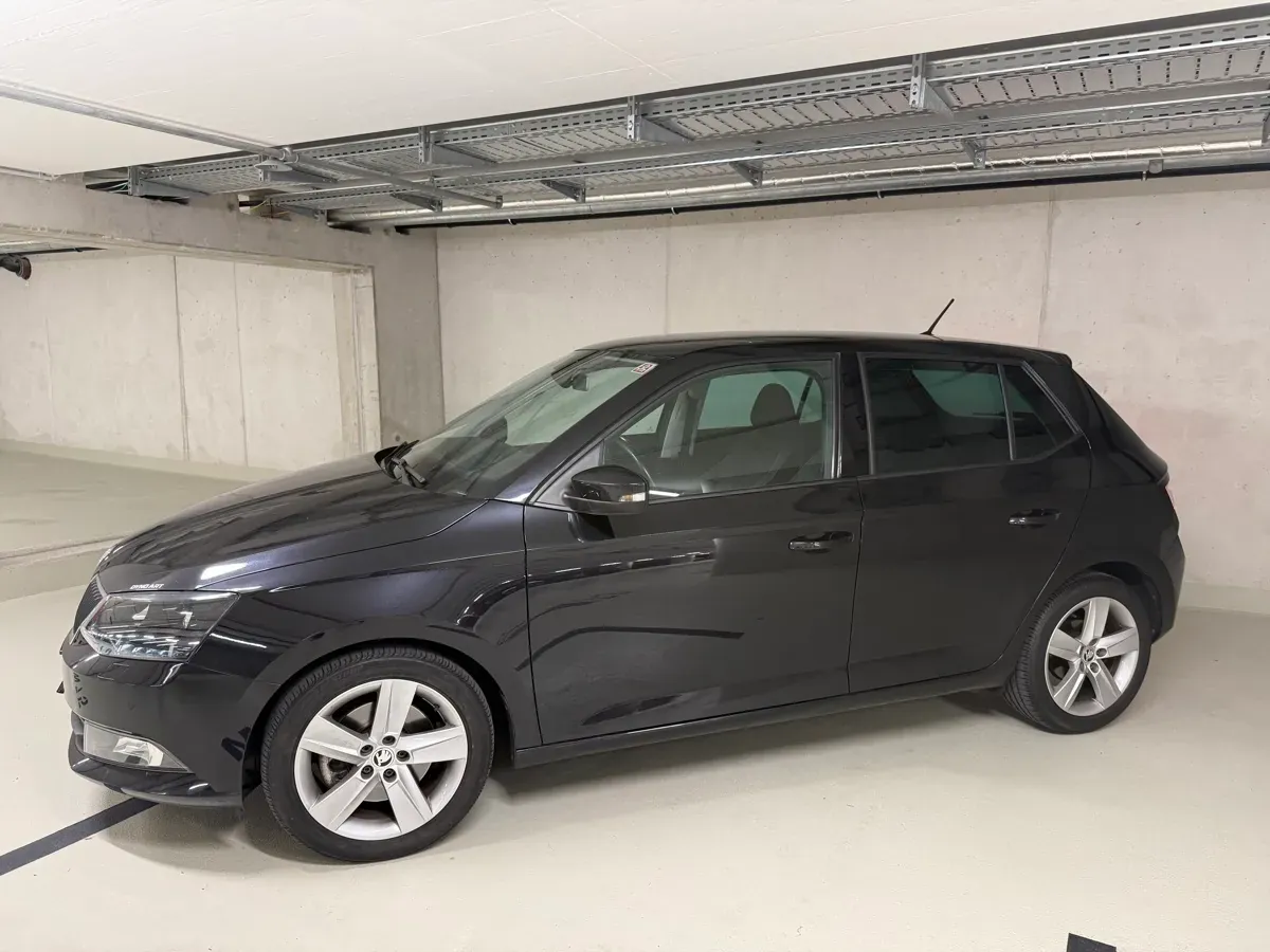 Skoda Fabia 2015 photo 2
