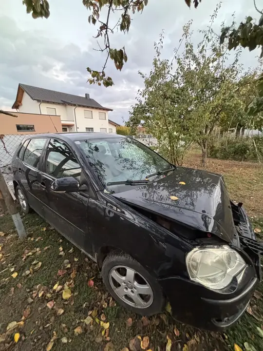Volkswagen Polo 2009 photo 3