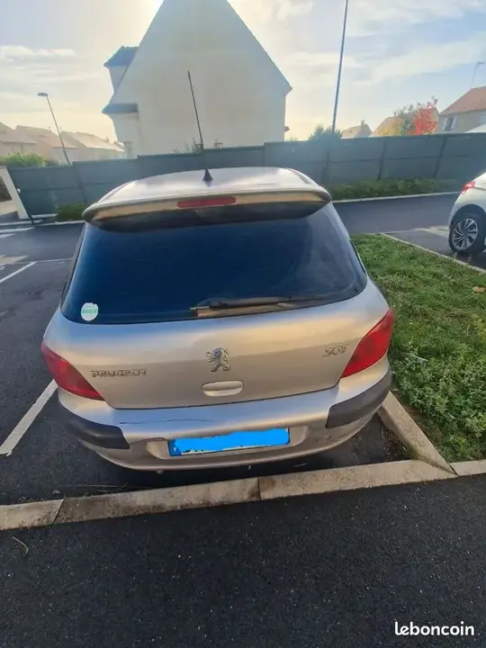 Peugeot 307 2001 photo 2