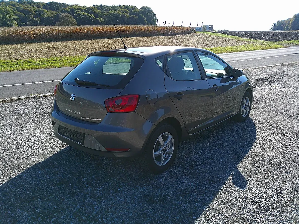 Seat Ibiza 2016 photo 2