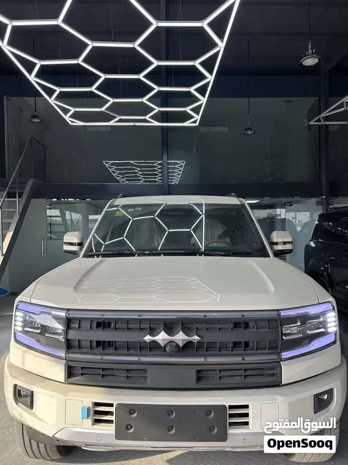 BYD Leopard 5