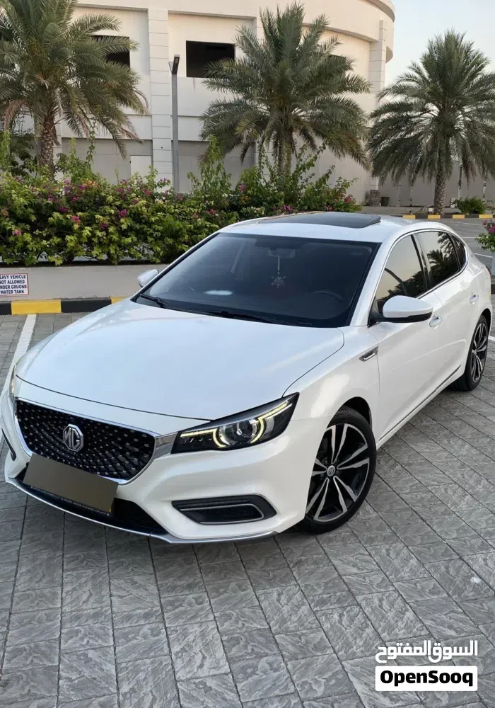 MG Mg 6